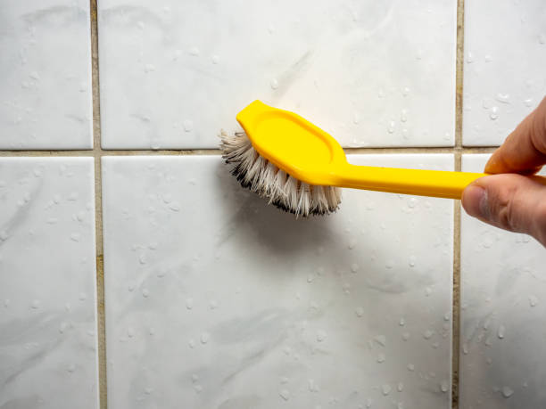 Professional Mold Removal in Strodes Mills, PA