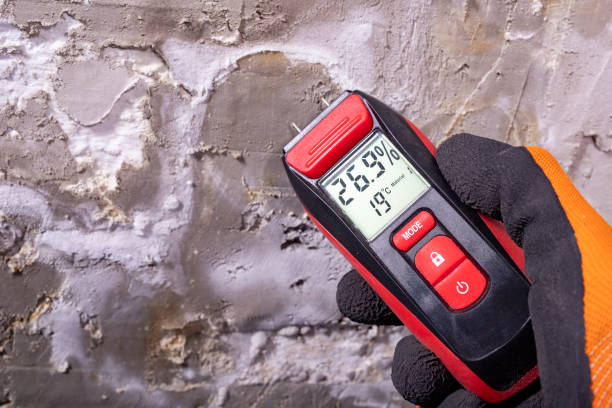 Trusted Strodes Mills, PA Mold Removal Experts