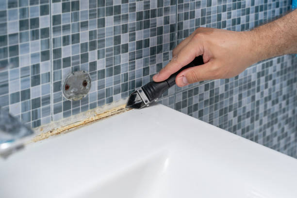 Best Mold Removal Specialists  in Strodes Mills, PA