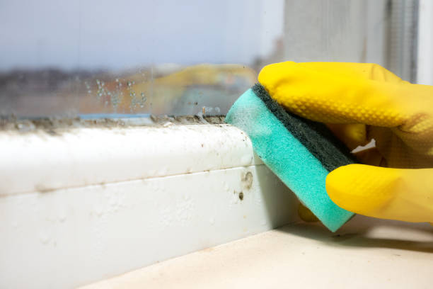 Best Certified Mold Removal  in Strodes Mills, PA